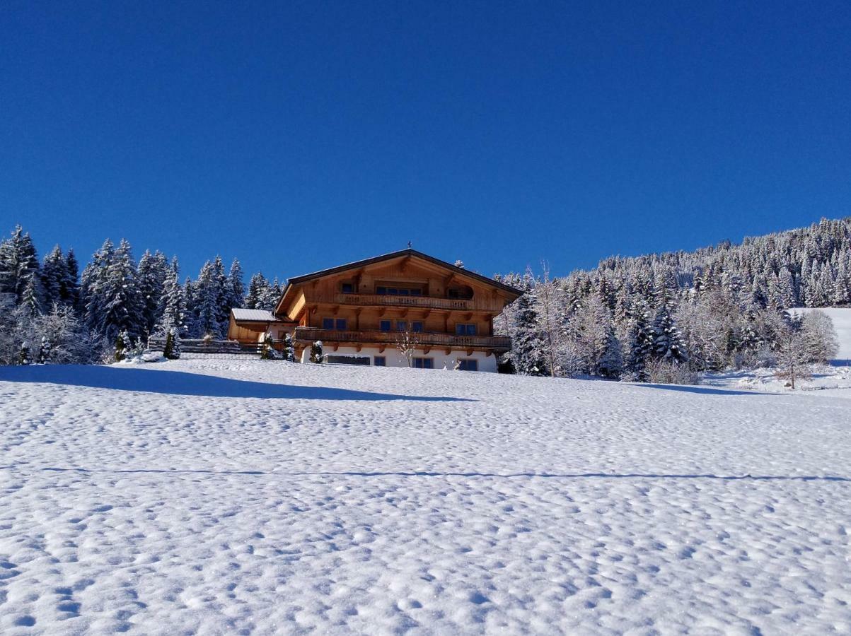 Chalet Apartment Obermanzl Хопфгартен им Бриксентал Екстериор снимка